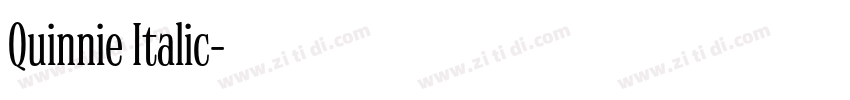 Quinnie Italic字体转换